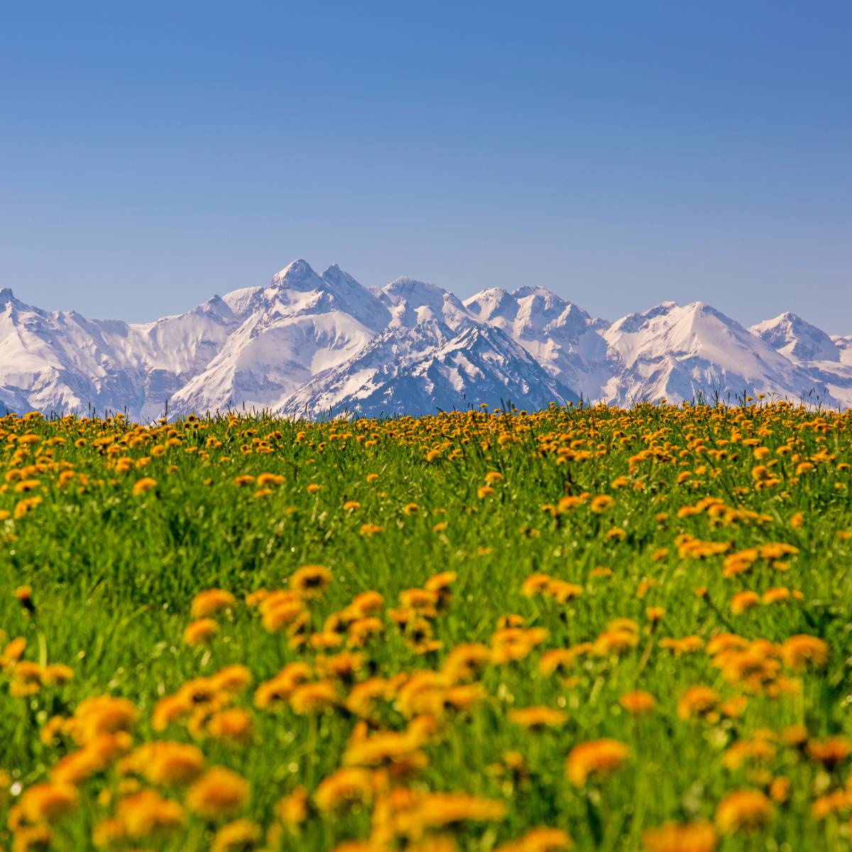 Nature adventures on your Allgäu holiday - Parkhotel Burgmühle