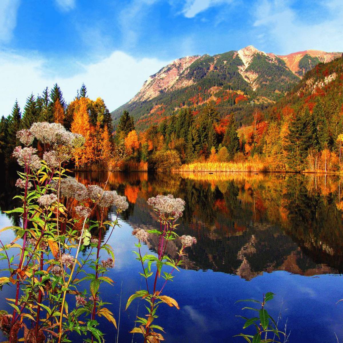 Naturerlebnisse im Allgäu-Urlaub  - Parkhotel Burgmühle